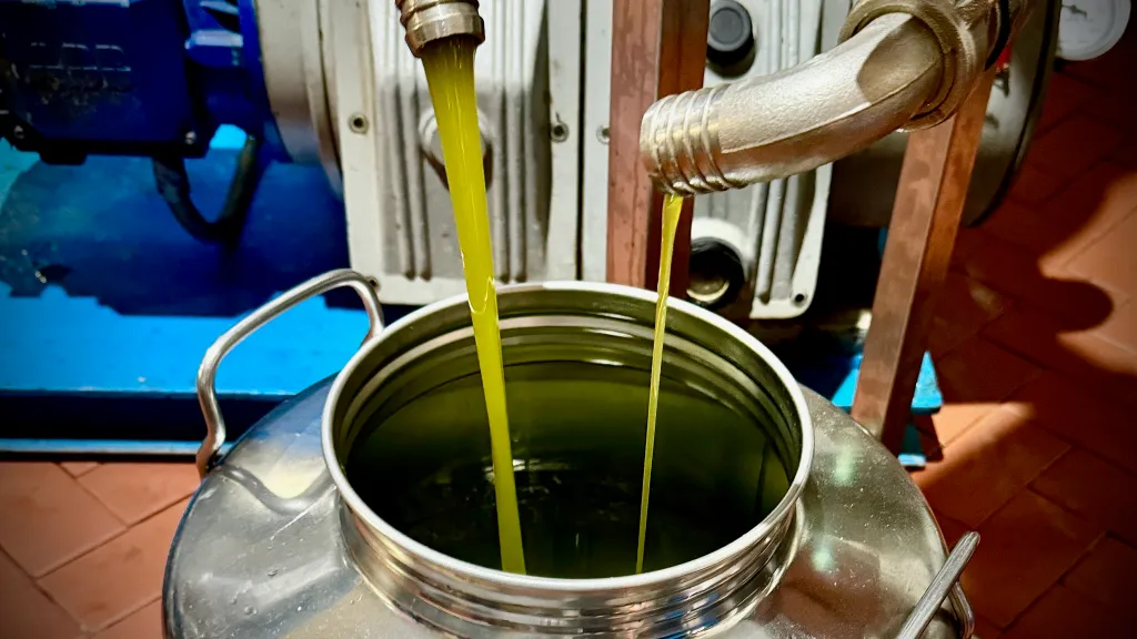 Villa Gioiella Organic Olive Oil Supplied