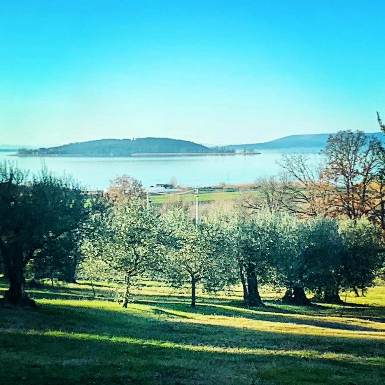 ba0b2b44-3dfa-4f5b-adaf-cb58af8da6b4-1