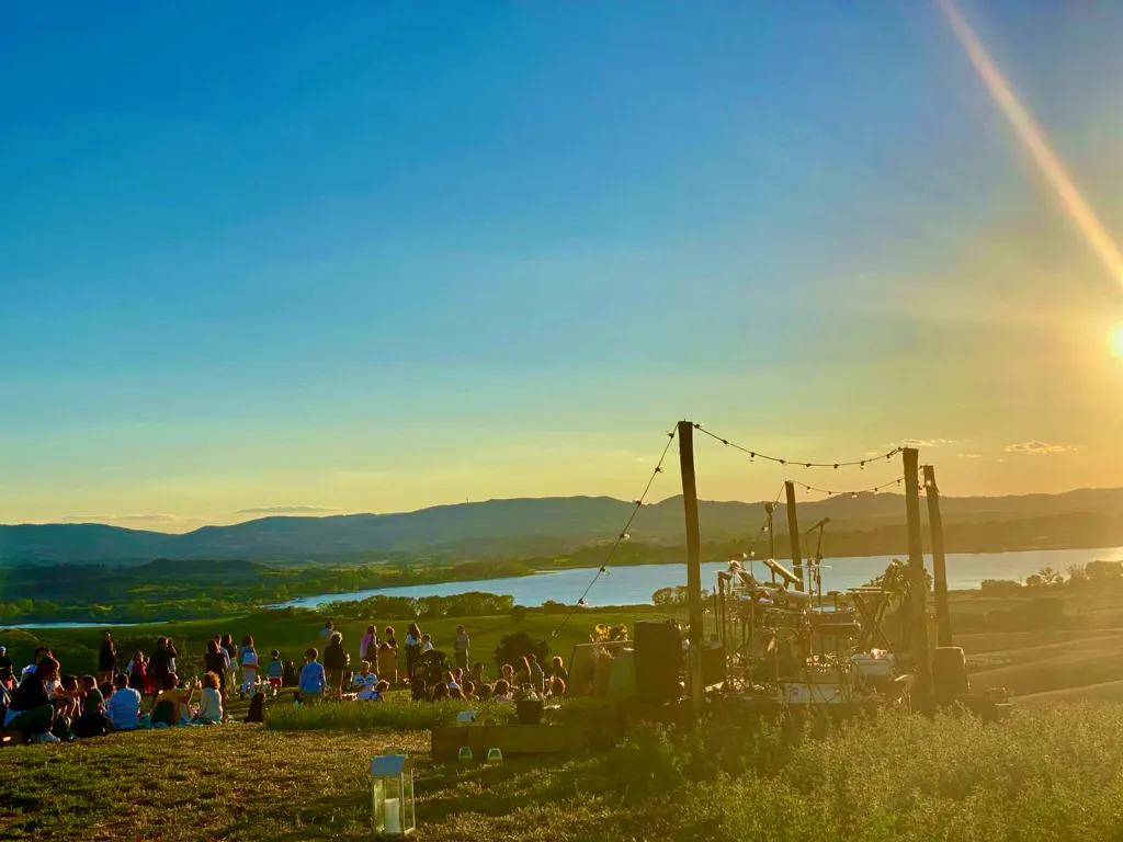 local-vineyard-bbq-Madrevite