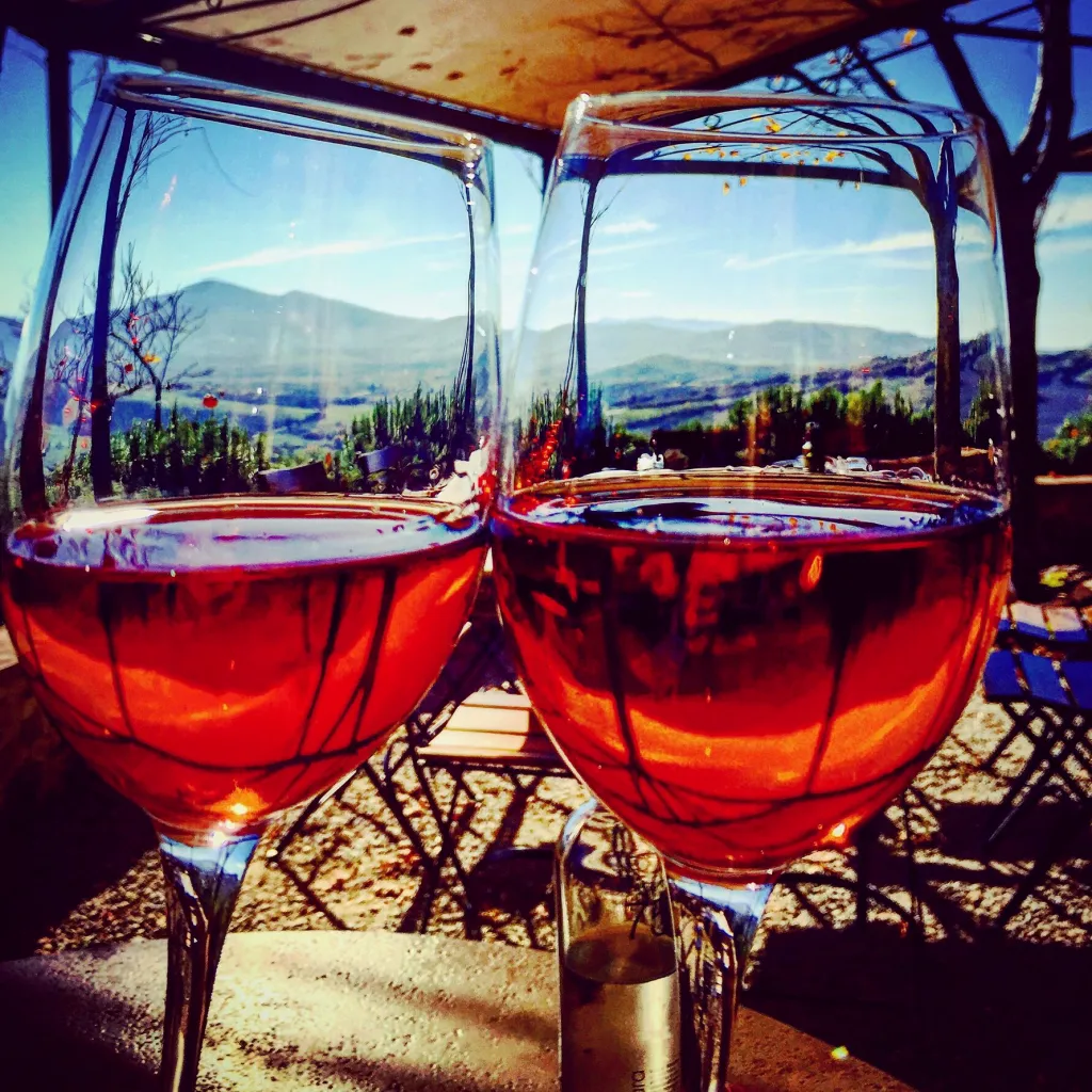 Surrounded by Local Vineyards