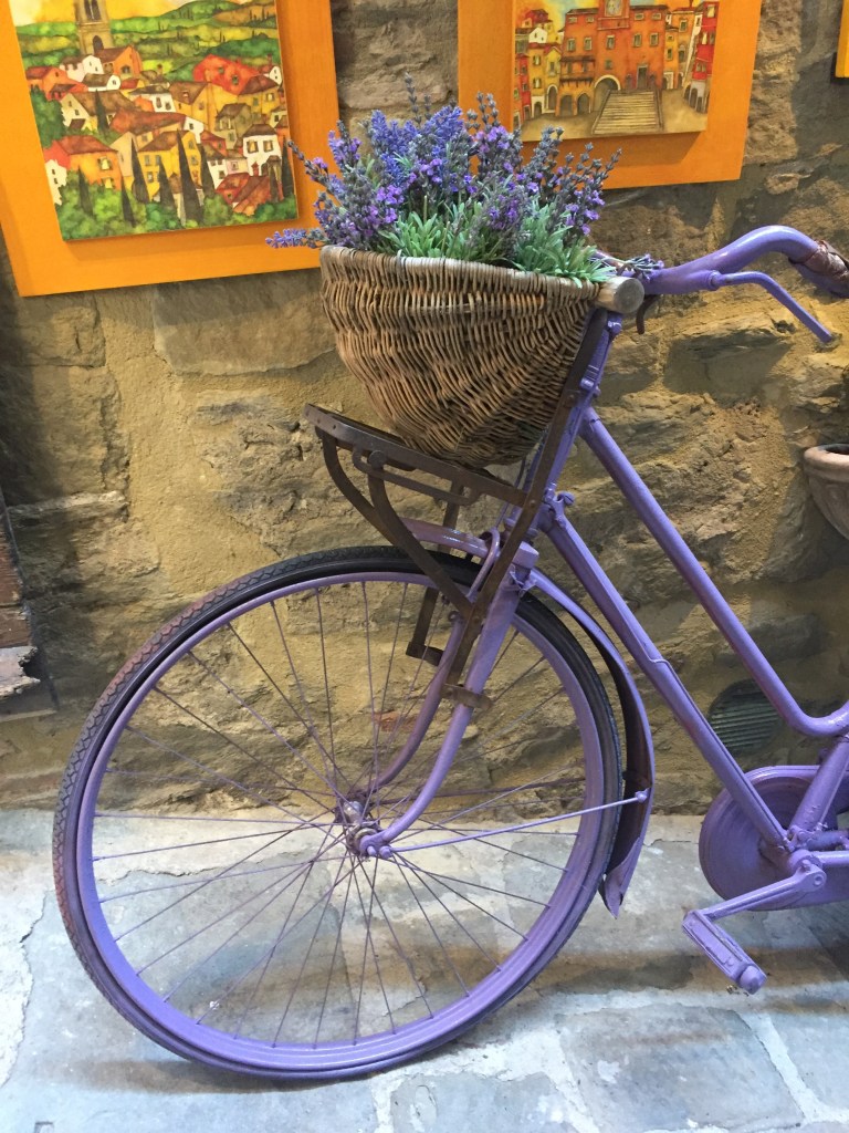 Bike Rental Lake Trasimeno